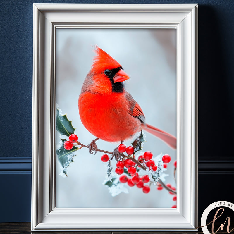 a cardinal sits on a branch with berries