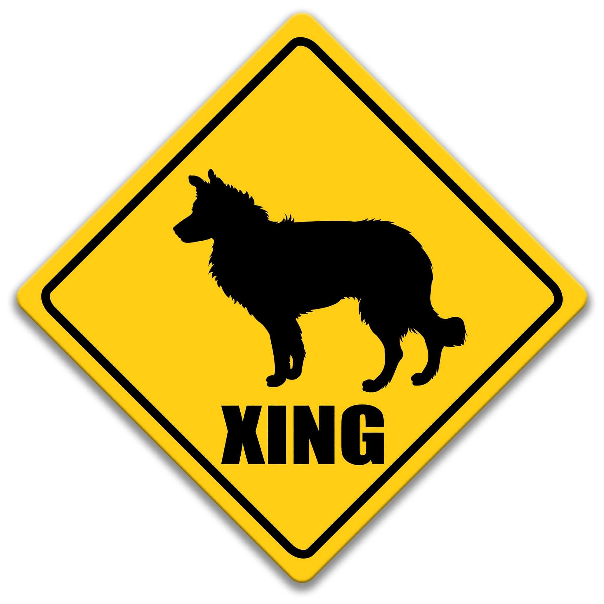 Border Collie Dog XING Caution Sign