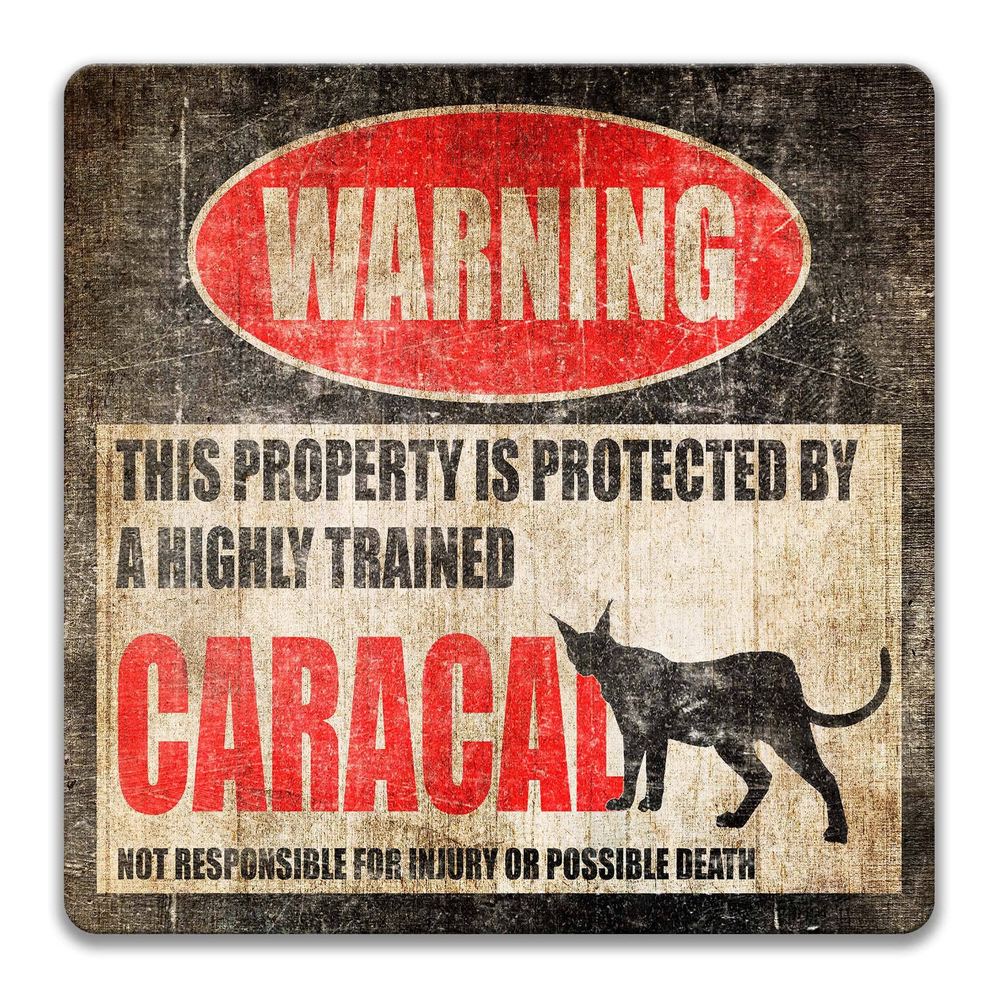 Funny Caracal Warning Sign - Caracal Decor for a Unique Home - Available in Multiple Sizes