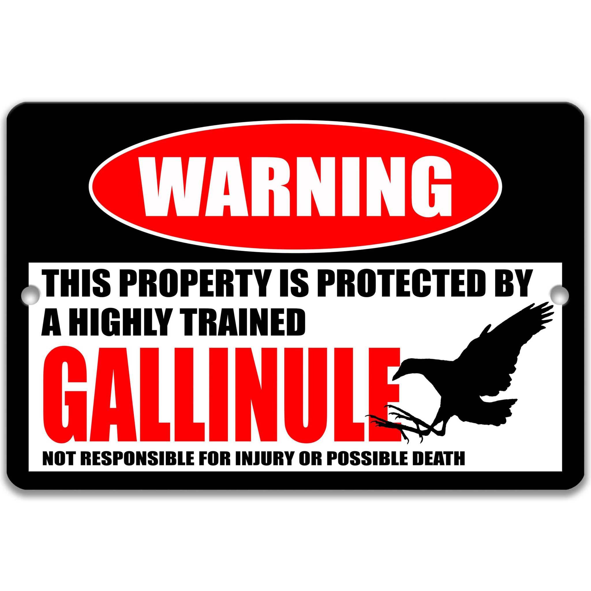 Gallinule Warning Sign, Beware of Gallinule Sign, Marsh Birds, Birdwatcher Gifts, Rallidae