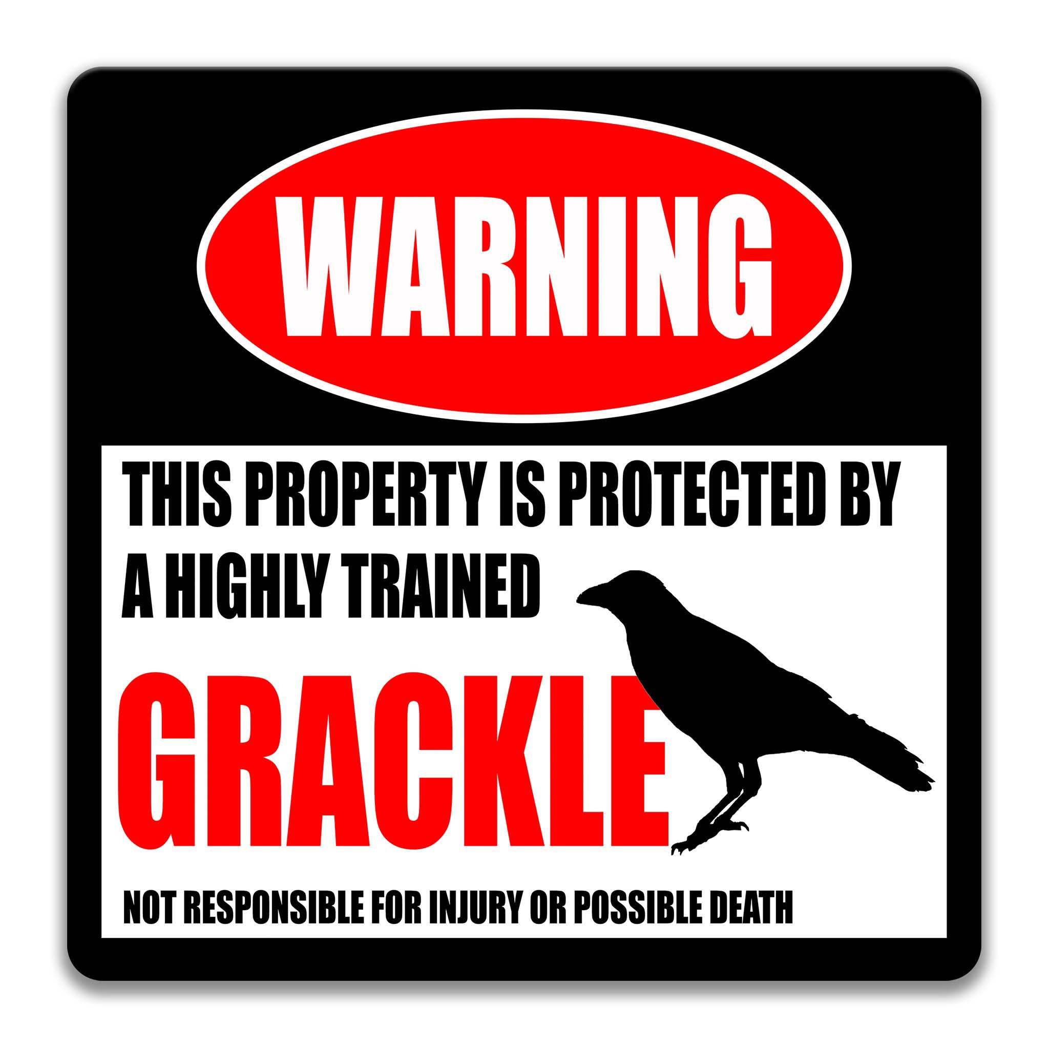 Grackle Metal Sign, Grackle Warning, Blackbird, Backyard Birds 8 - HIG249