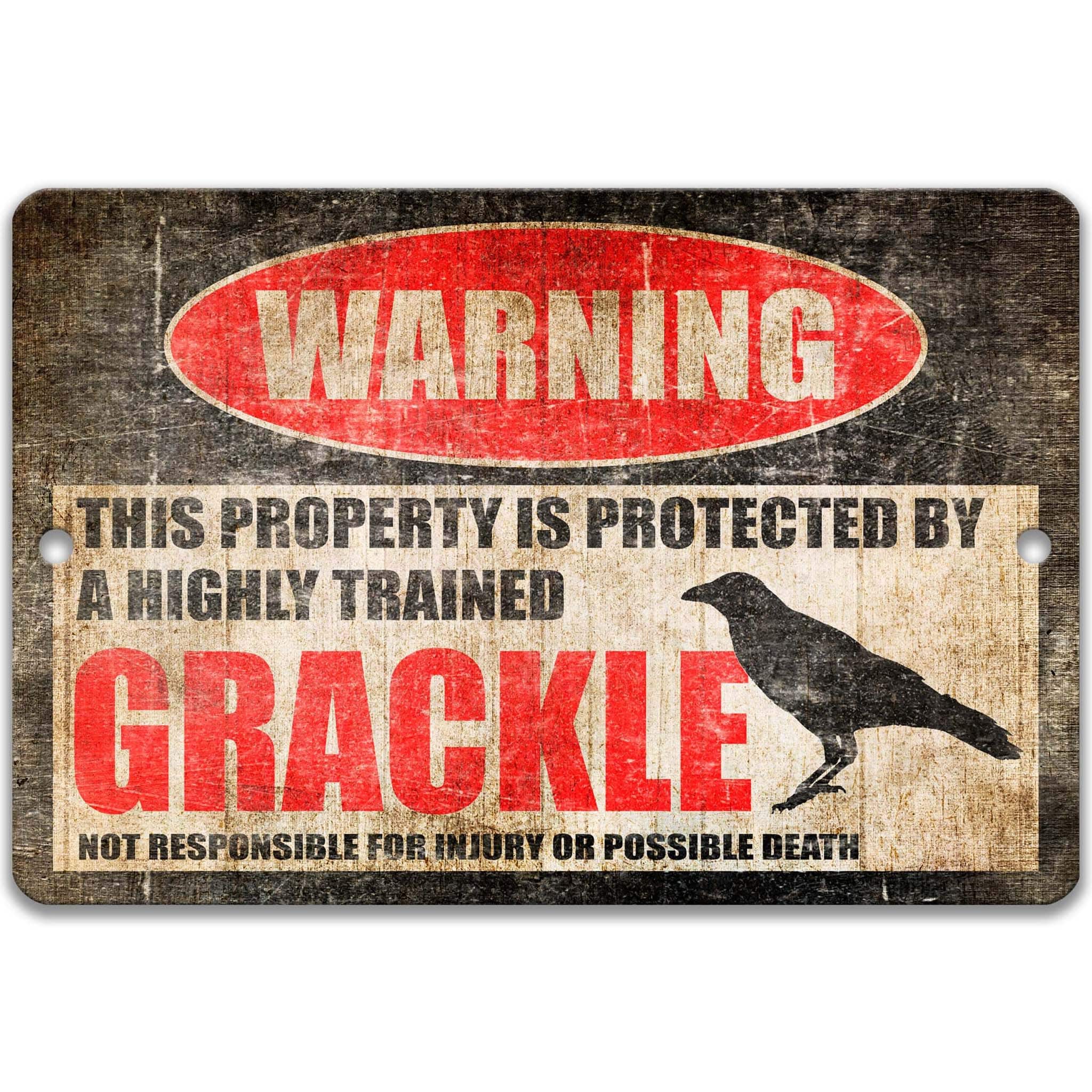 Grackle Metal Sign, Grackle Warning, Blackbird, Backyard Birds 8 - HIG249