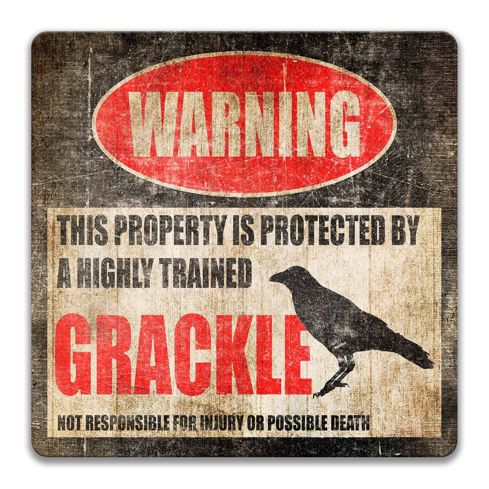 Grackle Metal Sign, Grackle Warning, Blackbird, Backyard Birds 8 - HIG249