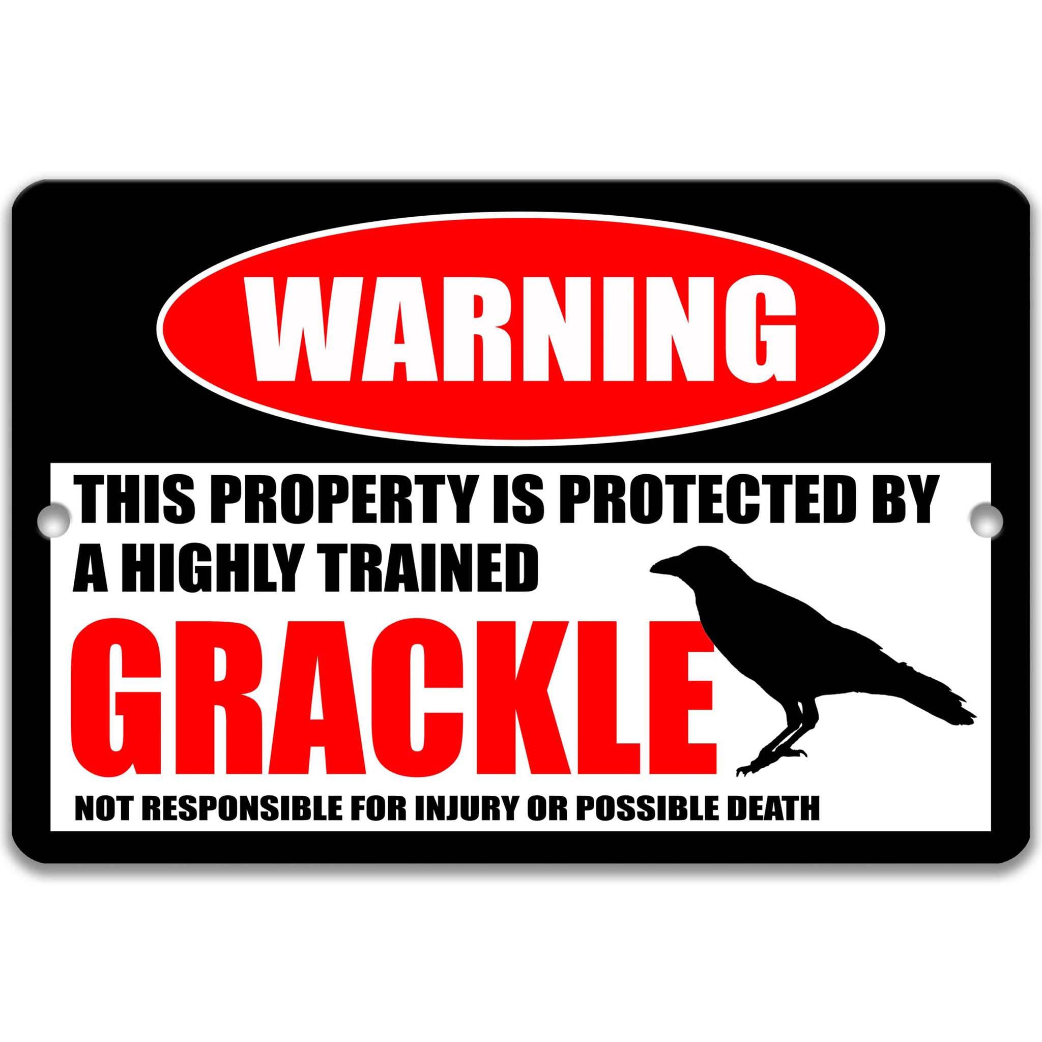 Grackle Metal Sign, Grackle Warning, Blackbird, Backyard Birds 8 - HIG249