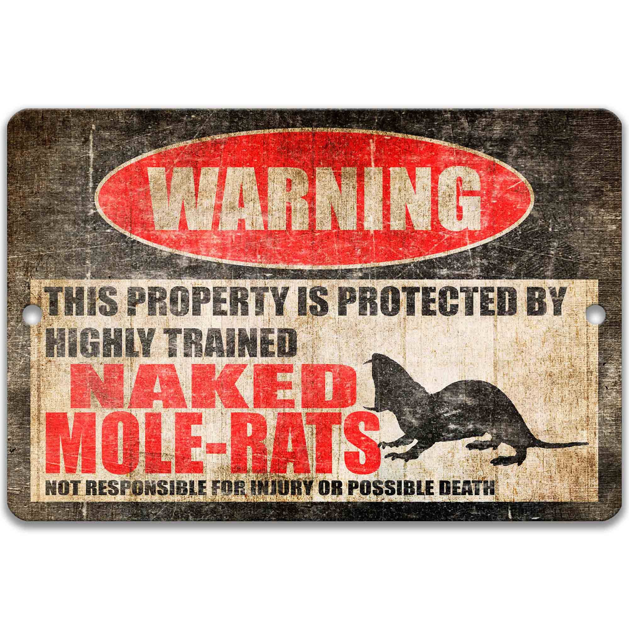 Naked Mole - Rats Metal Sign - Unique Mole - Rat Decor and Humor Accent