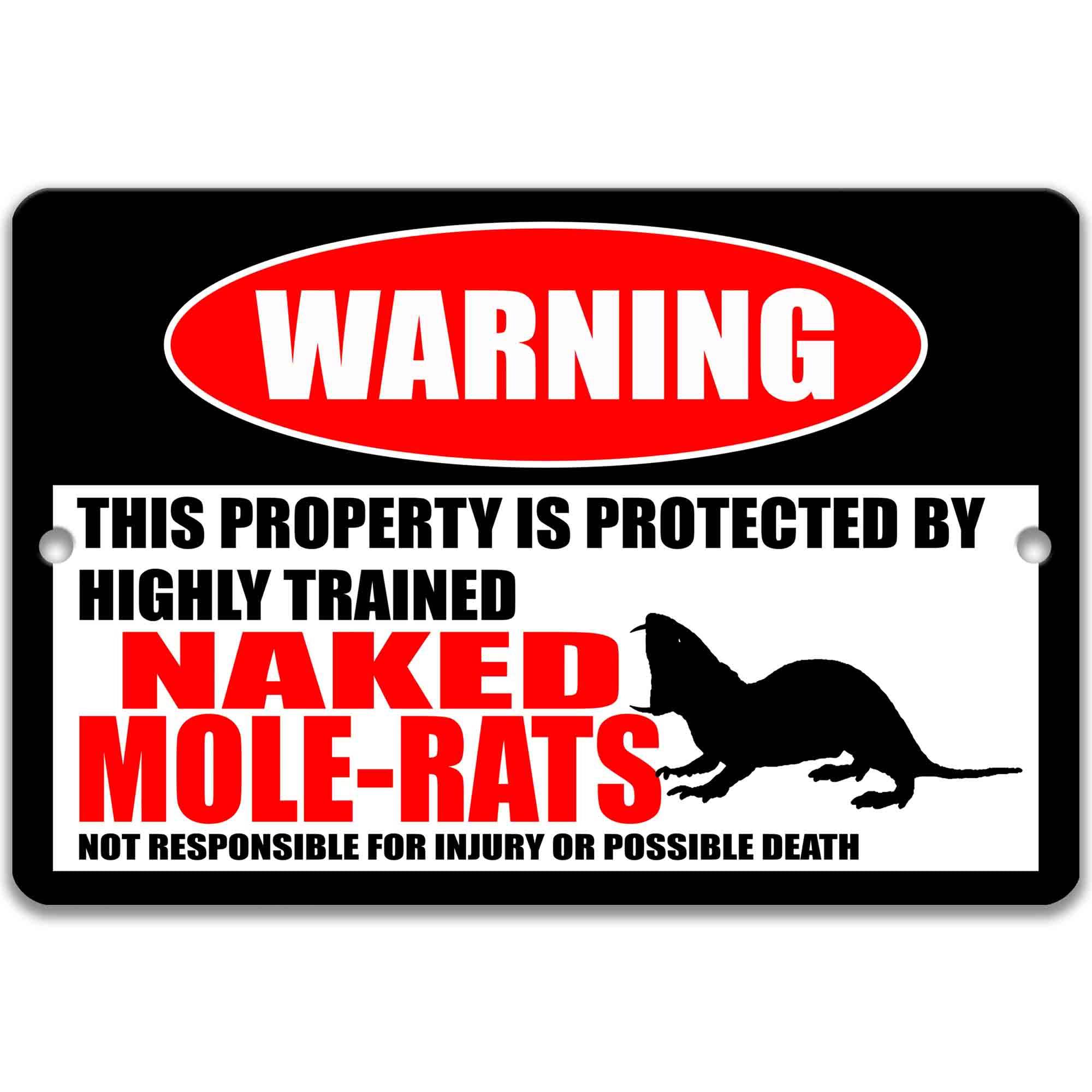 Naked Mole - Rats Metal Sign - Unique Mole - Rat Decor and Humor Accent