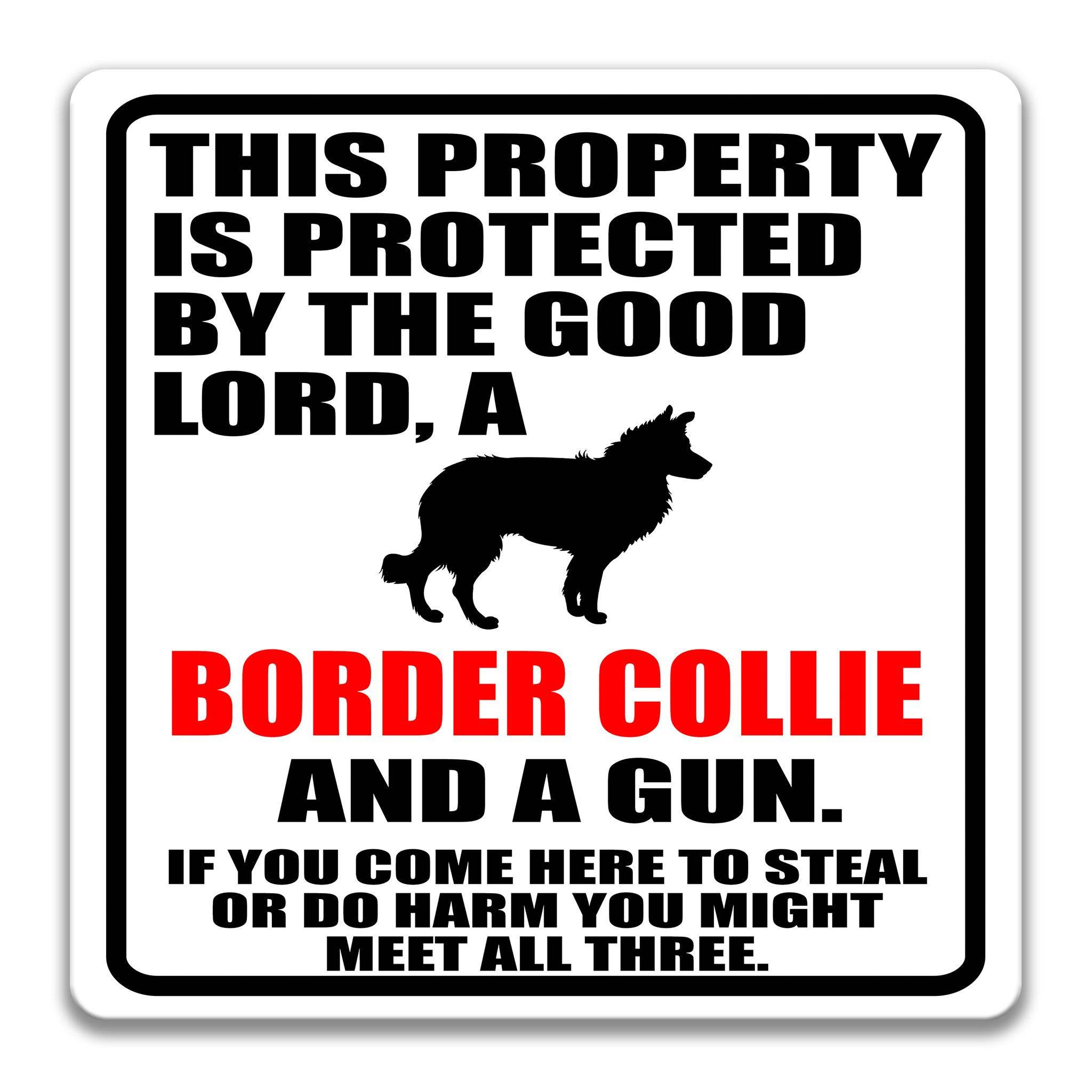 Property Protected by the Good Lord, a Border Collie, and a Gun Dog Sign