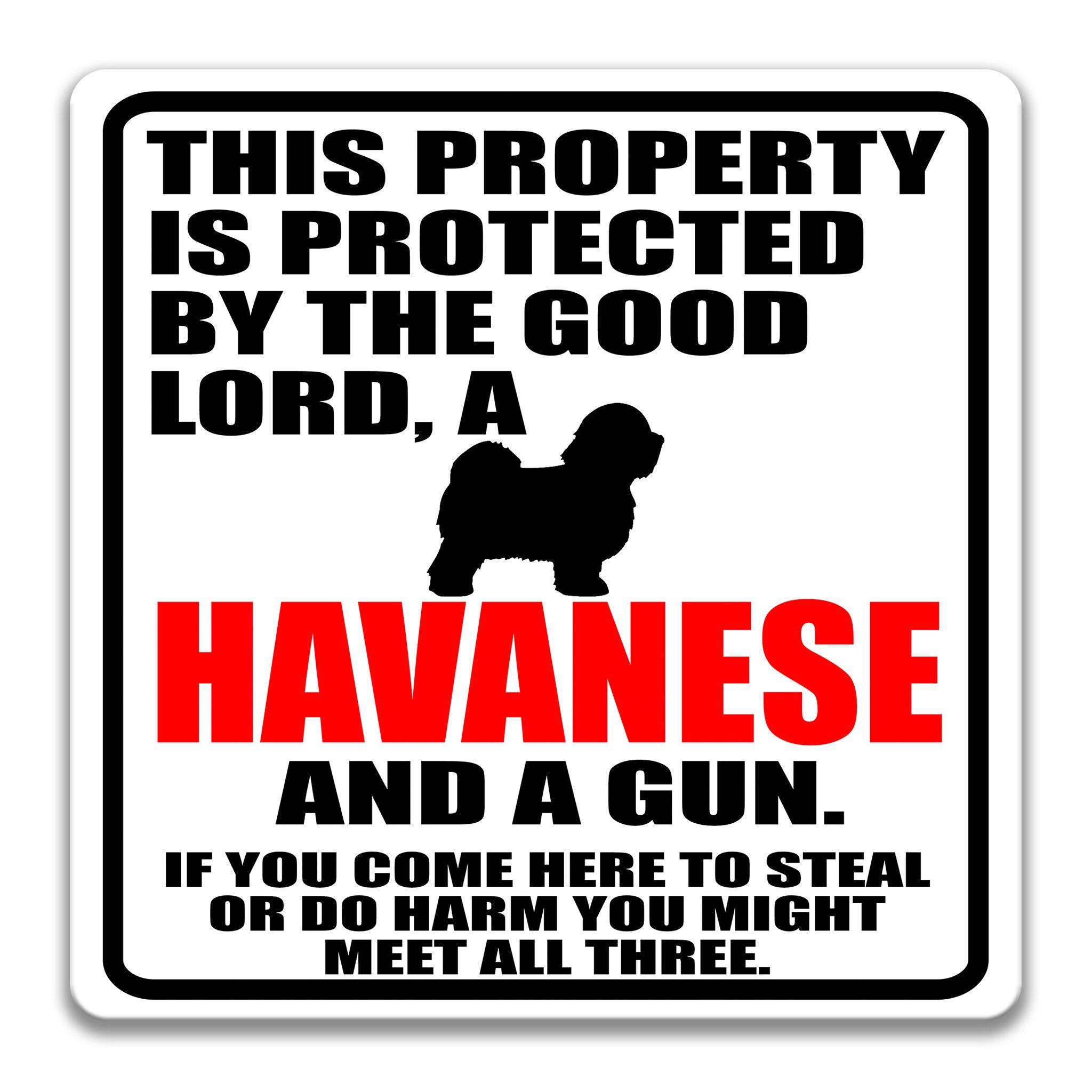 Property Protected by the Good Lord, a Havanese, and a Gun Dog Sign