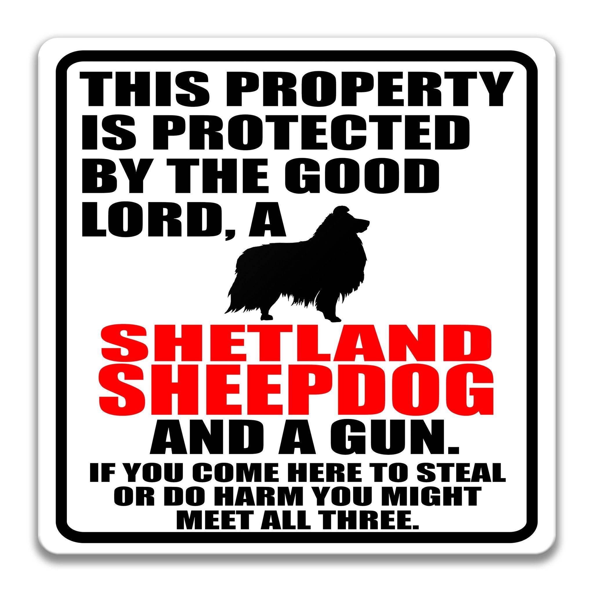 Property Protected by the Good Lord, a Shetland Sheepdog, and a Gun Dog Sign