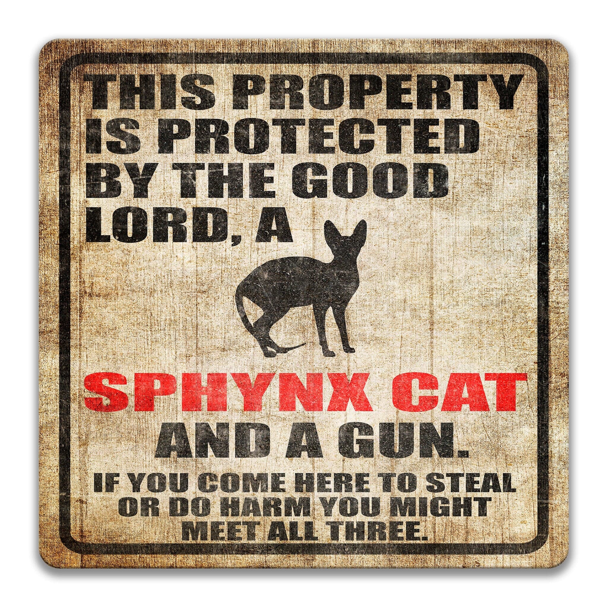 Property Protected by the Good Lord, a Sphynx Cat, and a Gun Cat Sign