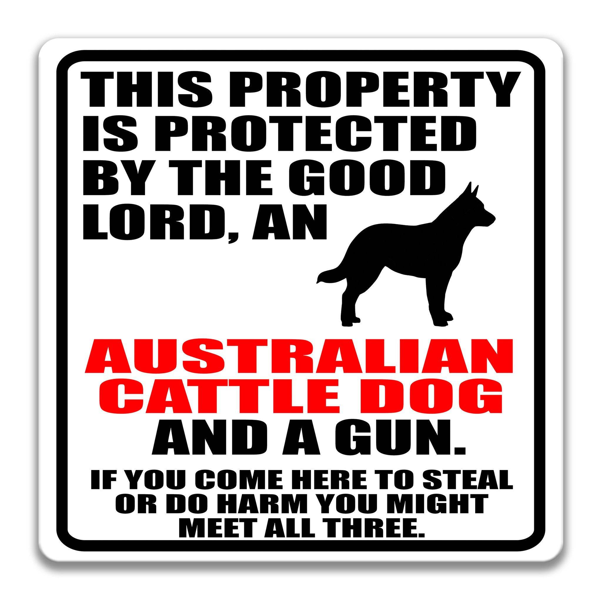 Property Protected by the Good Lord, an Australian Cattle Dog, and a Gun Dog Sign